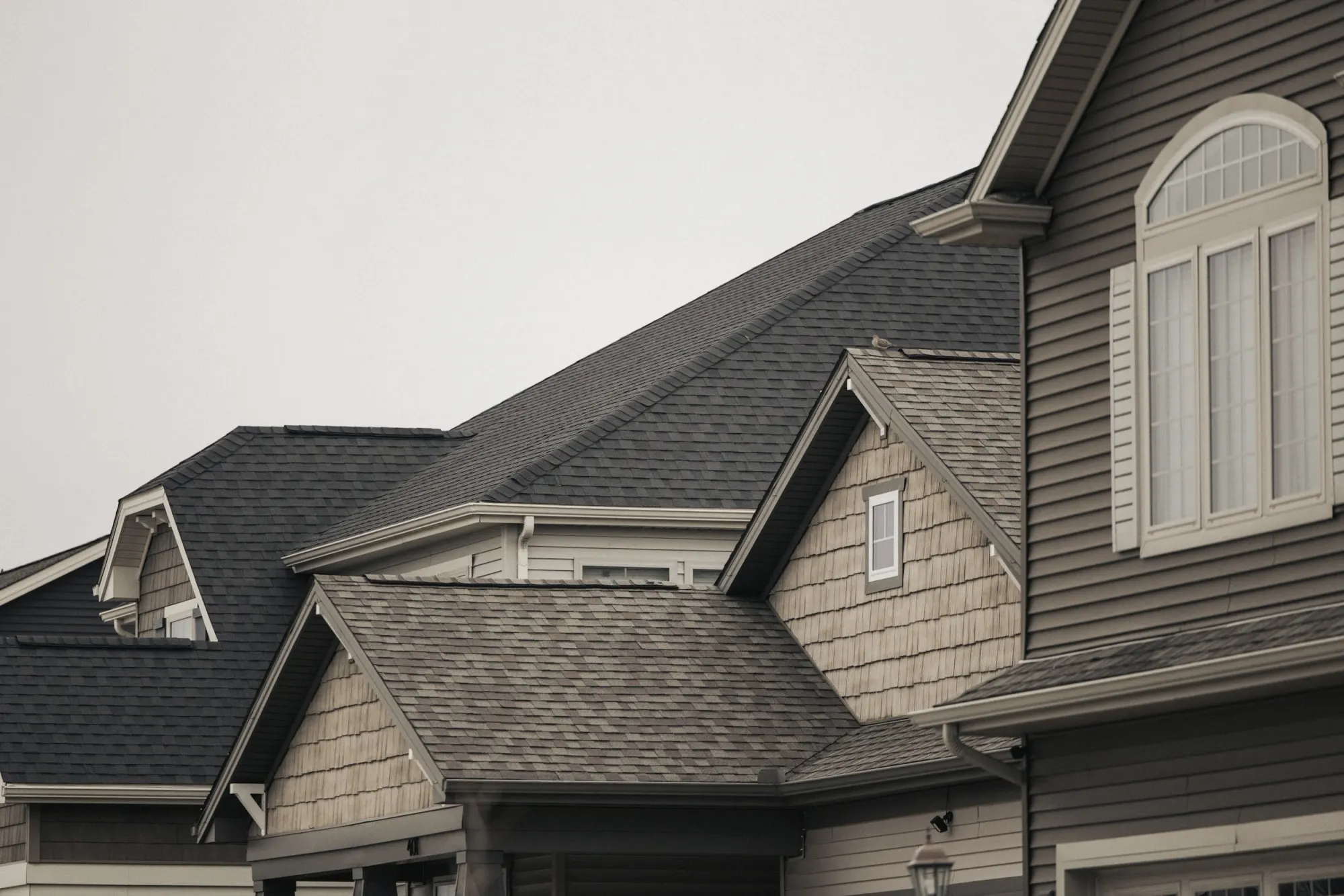 Shingle rooflines, siding, and windows on neighboring homes